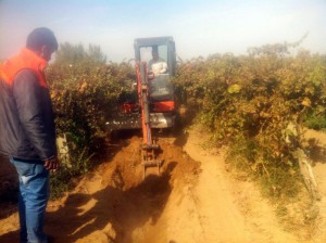 MİNİK IRMAK’IN CANSIZ BEDENİNİ ARAMA ÇALIŞMALARI SÜRÜYOR 6 GÜNDÜR KAYIP OLAN 4 YAŞINDAKİ IRMAK KUPAL’I ÖLDÜRDÜĞÜNÜ CANLI YAYINDA İTİRAF EDEN HİMMET A. DÜN GECE SAATLERİNDE MANİSA’YA GETİRİLEREK ALAŞEHİR İLÇE EMNİYET MÜDÜRLÜĞÜ EKİPLERİNE TESLİM EDİLDİ KOMŞUSU TARAFINDAN ÖLDÜRÜLEREK SARIKIZ ÇAYI’NA ATILAN IRMAK KUPAL’I ARAMA ÇALIŞMASI DÜN GECE VERİLEN ARANIN ARDINDAN BU SABAH SAATLERİNDE TEKRAR BAŞLADI CİNAYET ZANLISI HİMMET A.’NIN 15 YIL ÖNCE DE 14 YAŞINDAKİ KIZ YEĞENİNİ TACİZ ETMEKTEN DOLAYI 1,5 YIL CEZAEVİNDE YATTIĞI ÖĞRENİLDİ ALAŞEHİR BELEDİYE BAŞKANI GÖKHAN KARAÇOBAN: “ŞU ANA KADAR ELDE EDİLEN BİR NETİCE YOK. POLİS KÖPEKLERİ VE EMNİYET GÜCÜNÜN KATKILARIYLA OLABİLECEK EN İYİ ŞEKİLDE KÜÇÜK KIZIMIZI ARIYORUZ”